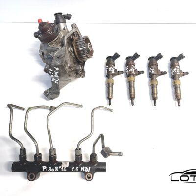 Set dizna, pumpa, rail Peugeot 308 1.6 HDI