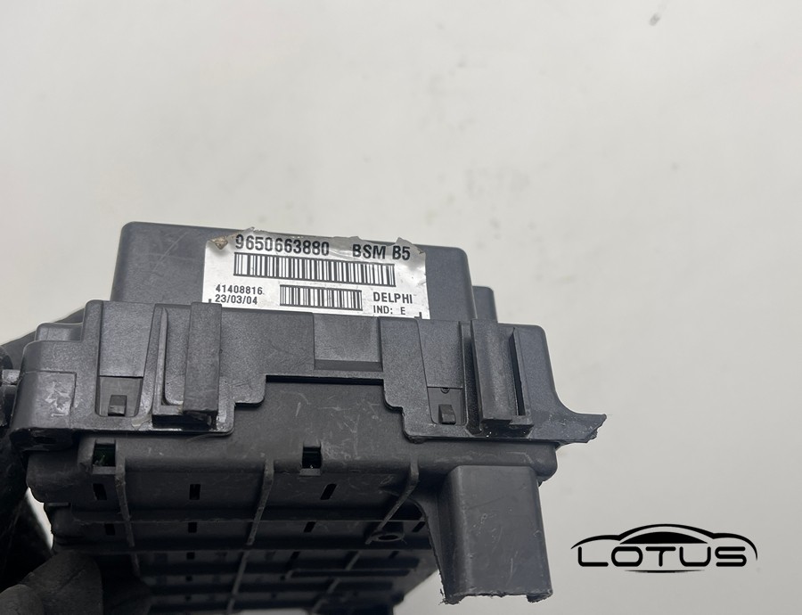 BSM PEUGEOT CITROEN 9650663880 B5