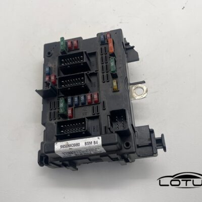 BSM PEUGEOT CITROEN 9650663980 B4