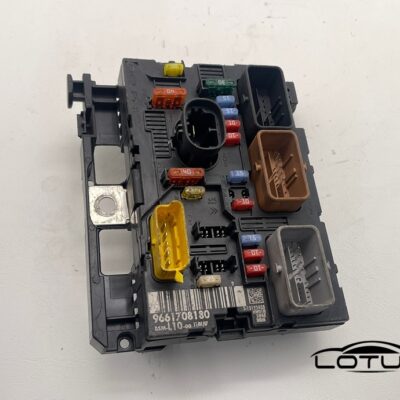 BSM PEUGEOT CITROEN 9661708180 L10